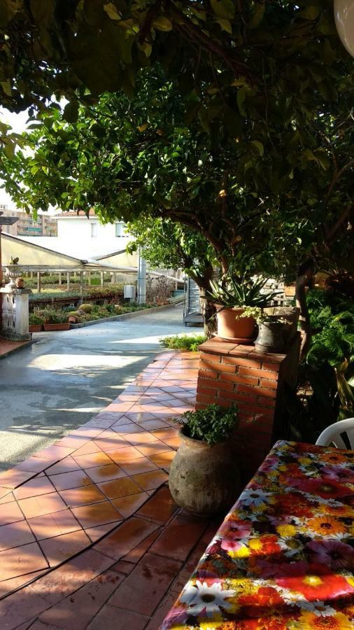 Ca' Federica Vila Vallecrosia Exterior foto